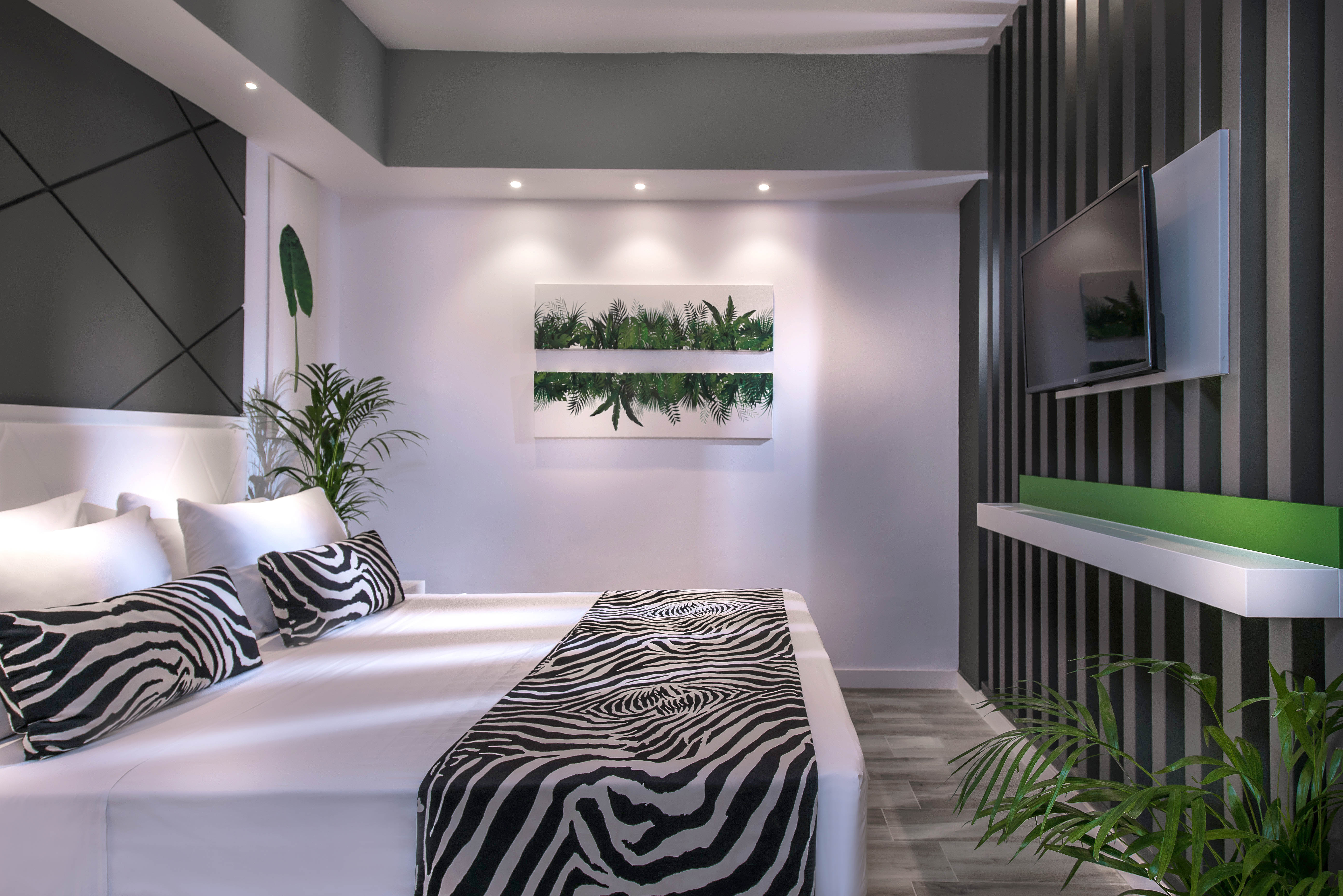 ΔΩΜΑΤΙΑ ZEBRA