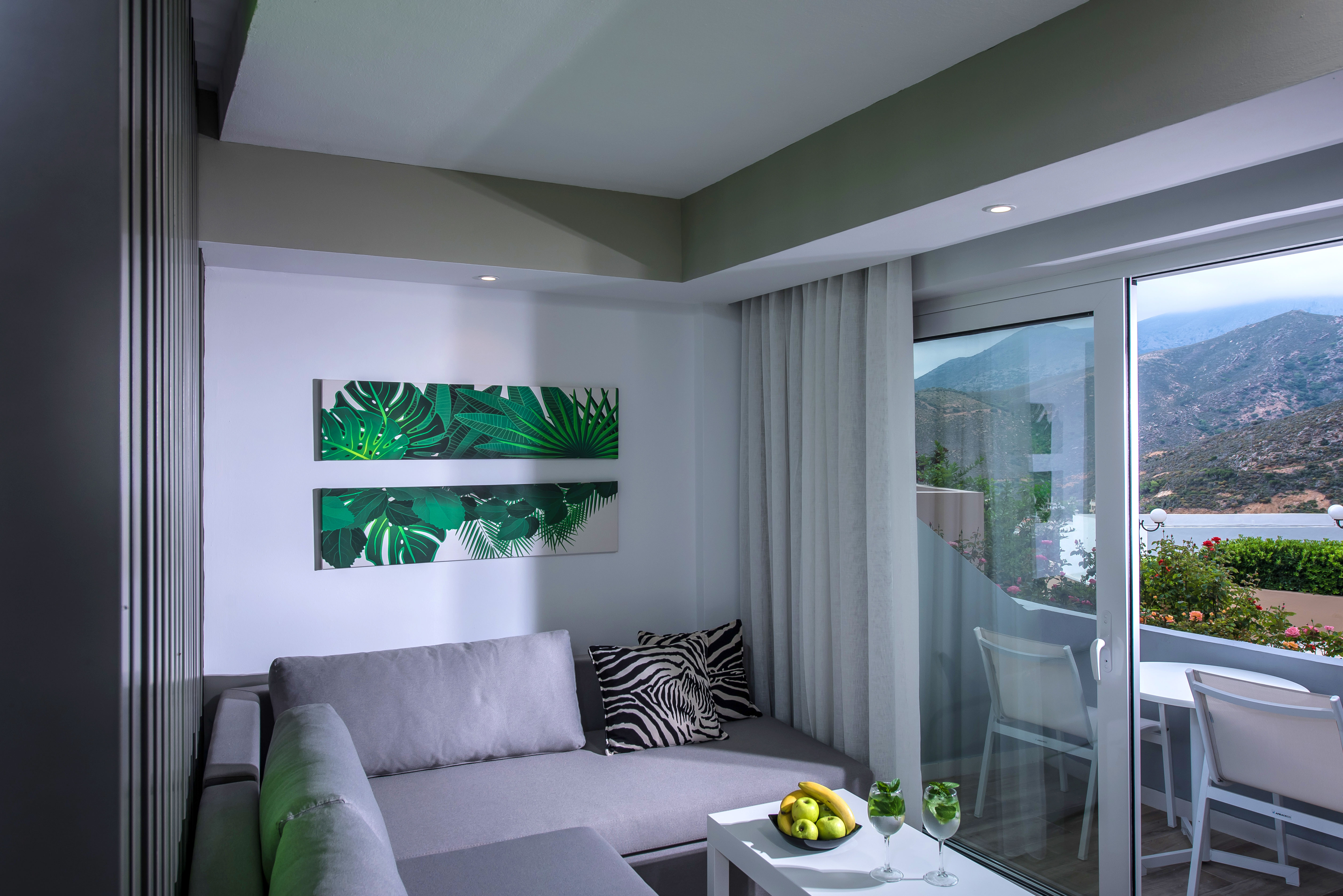 ΔΩΜΑΤΙΑ ZEBRA