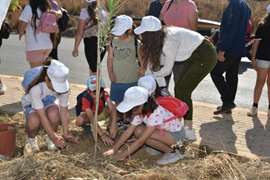 🌍 Planting the Future Together: Fodele Beach Joins Local Tree-Planting Initiative for a Greener Tomorrow