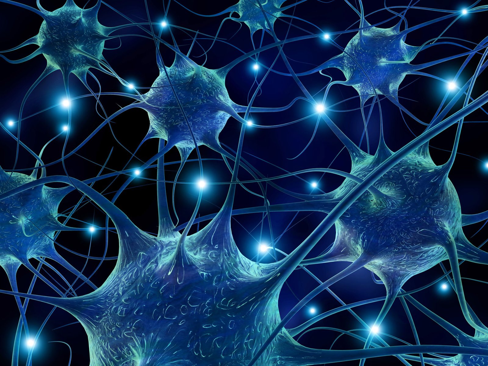 EMBO Workshop: Molecular neurobiology